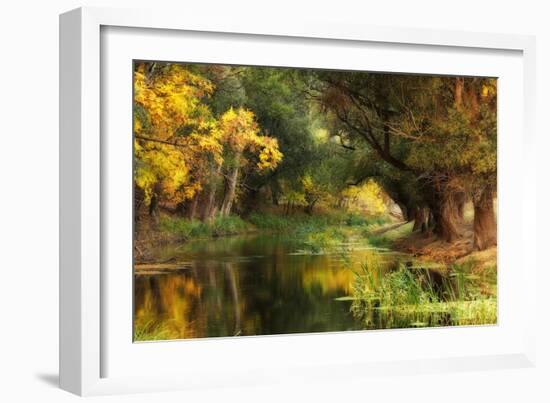 Dressed in Autumn-Jimbi-Framed Photographic Print