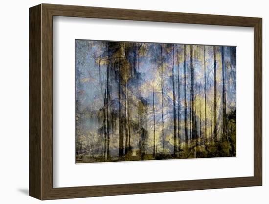 Dressed In Blue-Jacob Berghoef-Framed Photographic Print