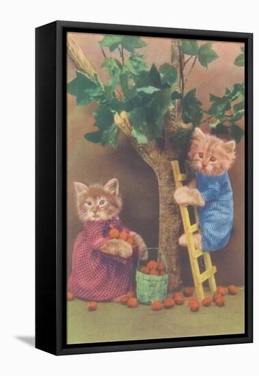 Dressed Kittens Picking Fruit-null-Framed Stretched Canvas