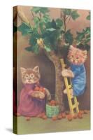 Dressed Kittens Picking Fruit-null-Stretched Canvas