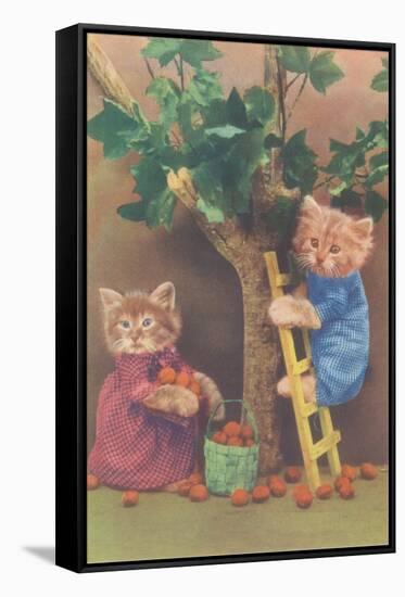 Dressed Kittens Picking Fruit-null-Framed Stretched Canvas