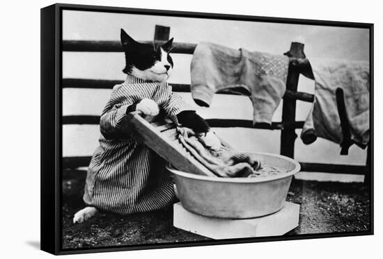 Dressed Up Cat Washing Clothes in Wash Tub-null-Framed Stretched Canvas