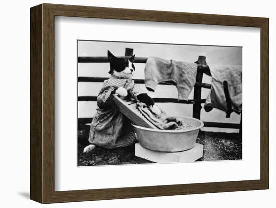 Dressed Up Cat Washing Clothes in Wash Tub-null-Framed Photographic Print