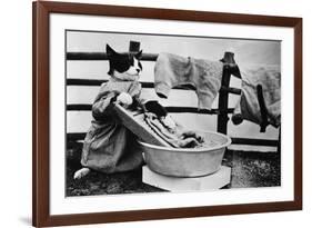 Dressed Up Cat Washing Clothes in Wash Tub-null-Framed Photographic Print