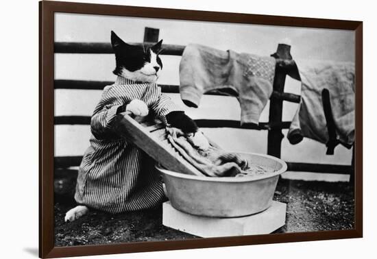 Dressed Up Cat Washing Clothes in Wash Tub-null-Framed Photographic Print