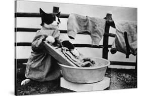 Dressed Up Cat Washing Clothes in Wash Tub-null-Stretched Canvas