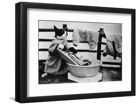Premium Photographic Print, , large
