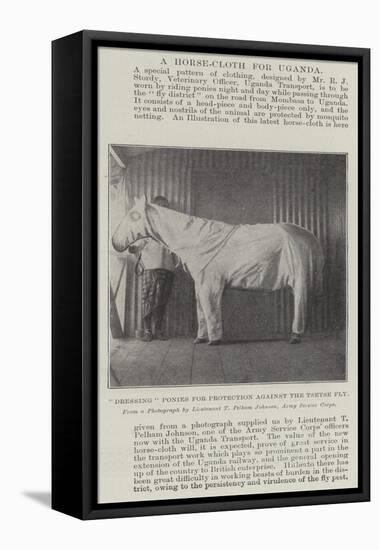 Dressing Ponies for Protection Against the Tsetse Fly-null-Framed Stretched Canvas