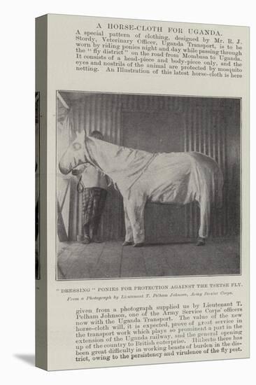 Dressing Ponies for Protection Against the Tsetse Fly-null-Stretched Canvas