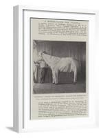 Dressing Ponies for Protection Against the Tsetse Fly-null-Framed Giclee Print