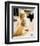 Drew Barrymore - Scream-null-Framed Photo