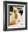 Drew Barrymore - Scream-null-Framed Photo