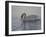 Dribbling Swan-Bruce Dumas-Framed Giclee Print