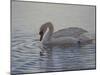 Dribbling Swan-Bruce Dumas-Mounted Giclee Print