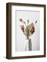 Dried_003-1x Studio III-Framed Photographic Print