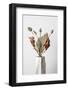 Dried_003-1x Studio III-Framed Photographic Print