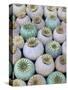 Dried and Green Poppy Seed Heads-Darrell Gulin-Stretched Canvas