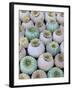 Dried and Green Poppy Seed Heads-Darrell Gulin-Framed Photographic Print