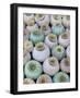 Dried and Green Poppy Seed Heads-Darrell Gulin-Framed Photographic Print