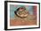 Dried Beans in a Pueblo Indian Pot-null-Framed Giclee Print