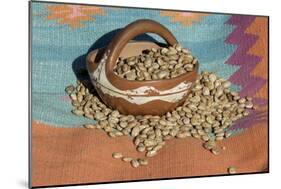 Dried Beans in a Pueblo Indian Pot-null-Mounted Giclee Print