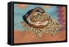 Dried Beans in a Pueblo Indian Pot-null-Framed Stretched Canvas