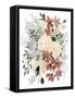 Dried Bouquet II-Grace Popp-Framed Stretched Canvas