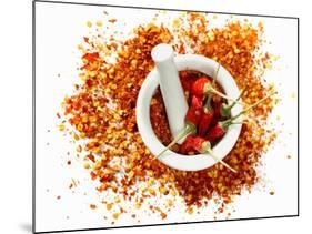 Dried Chilli Peppers and Chilli Flakes in a Mortar-Bodo A^ Schieren-Mounted Photographic Print