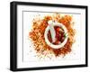 Dried Chilli Peppers and Chilli Flakes in a Mortar-Bodo A^ Schieren-Framed Photographic Print