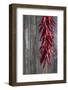 Dried Chillies Hanging in Front of Blurred Background-Jana Ihle-Framed Photographic Print