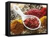 Dried Chillies in Spoon on Assorted Spices-Dieter Heinemann-Framed Stretched Canvas