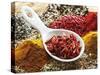 Dried Chillies in Spoon on Assorted Spices-Dieter Heinemann-Stretched Canvas