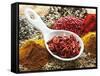 Dried Chillies in Spoon on Assorted Spices-Dieter Heinemann-Framed Stretched Canvas