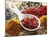 Dried Chillies in Spoon on Assorted Spices-Dieter Heinemann-Mounted Photographic Print
