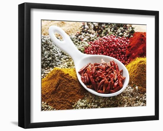 Dried Chillies in Spoon on Assorted Spices-Dieter Heinemann-Framed Photographic Print