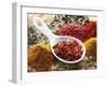 Dried Chillies in Spoon on Assorted Spices-Dieter Heinemann-Framed Photographic Print