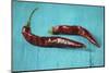 Dried Chillies on Turquoise Wood-Jana Ihle-Mounted Photographic Print