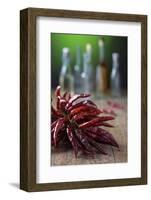 Dried Chillies on Wooden Table, Bottle Against Green Background-Jana Ihle-Framed Photographic Print