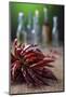 Dried Chillies on Wooden Table, Bottle Against Green Background-Jana Ihle-Mounted Photographic Print