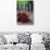 Dried Chillies on Wooden Table, Bottle Against Green Background-Jana Ihle-Photographic Print displayed on a wall