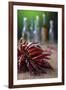 Dried Chillies on Wooden Table, Bottle Against Green Background-Jana Ihle-Framed Photographic Print