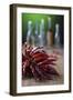 Dried Chillies on Wooden Table, Bottle Against Green Background-Jana Ihle-Framed Photographic Print