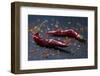 Dried Chillipods on Black Slate-Jana Ihle-Framed Photographic Print