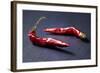 Dried Chillipods on Black Slate-Jana Ihle-Framed Photographic Print