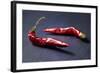 Dried Chillipods on Black Slate-Jana Ihle-Framed Photographic Print