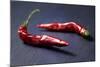 Dried Chillipods on Black Slate-Jana Ihle-Mounted Photographic Print