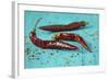 Dried Chillipods on Turquoise Wood-Jana Ihle-Framed Photographic Print