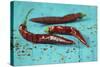 Dried Chillipods on Turquoise Wood-Jana Ihle-Stretched Canvas