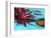 Dried Chillipods on Turquoise Wood-Jana Ihle-Framed Photographic Print