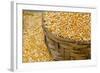 Dried Corn in Basket, Otavalo Handicraft Market, Quito, Ecuador-Cindy Miller Hopkins-Framed Photographic Print